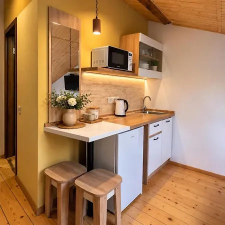 Apartment навпроти оперного театру Lemberg