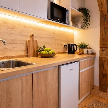 Apartment навпроти оперного театру Lemberg